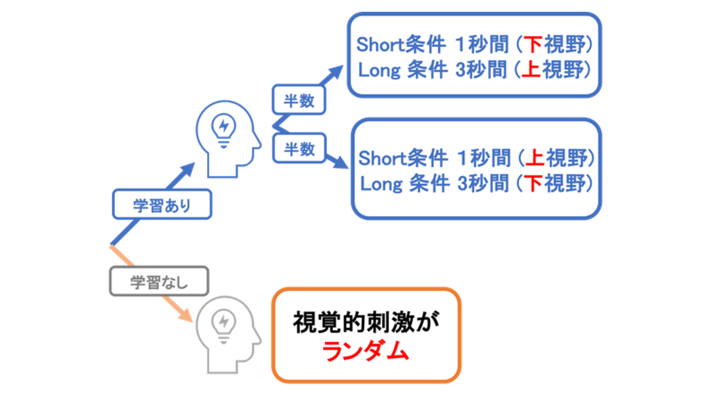 時間の長さの知覚は直前の経験から対比的影響を受ける 実験心理学的 