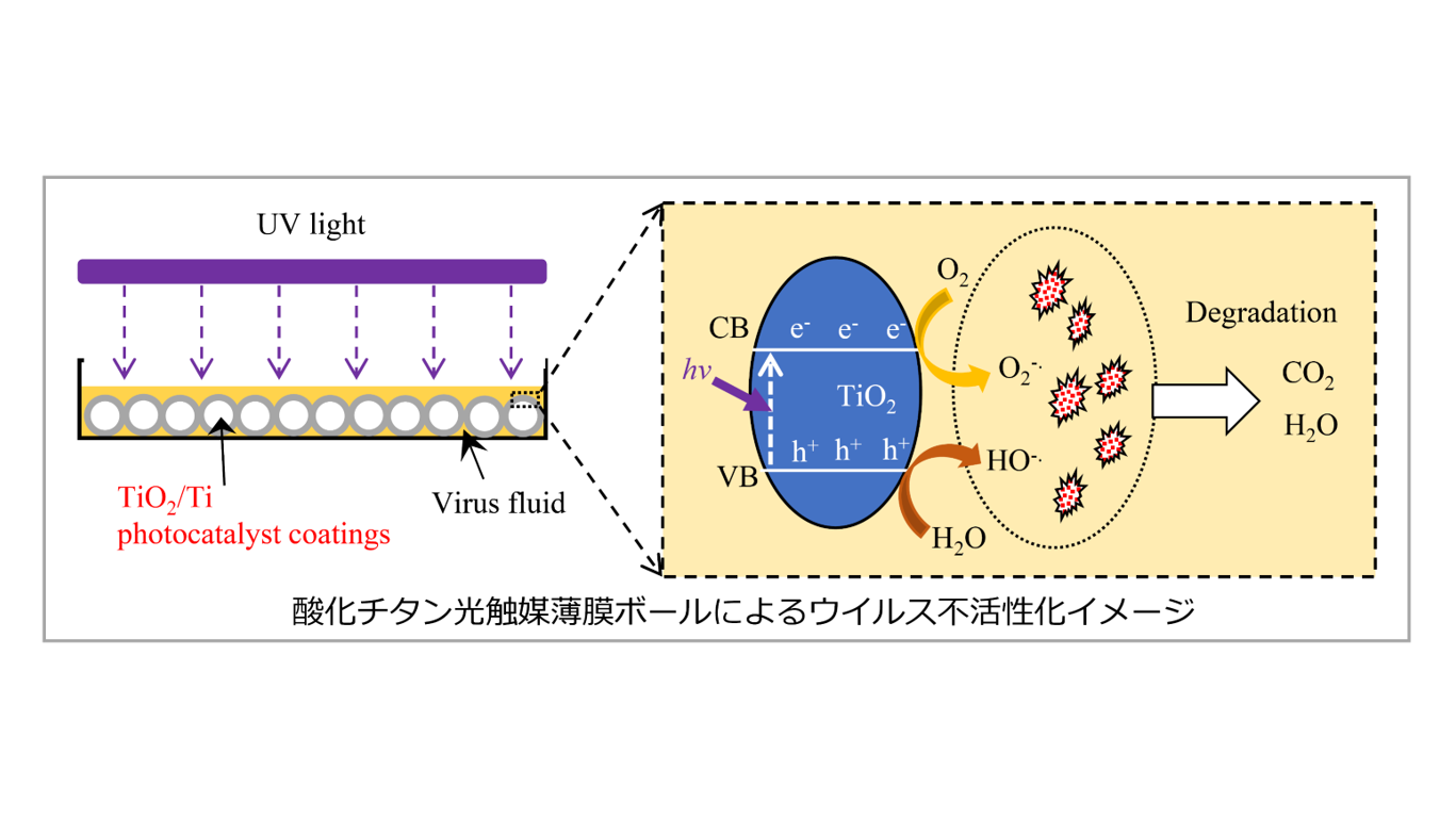 新型コロナウイルス（SARS-CoV-2）を99.99%不活化する光触媒膜ボールを開発 | CHIBADAI NEXT